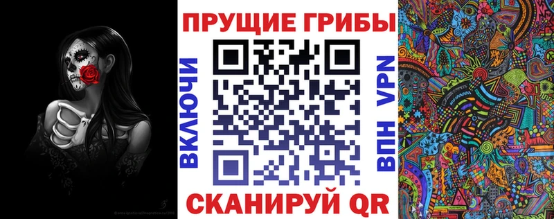 Галлюциногенные грибы Psilocybine cubensis  Урень 
